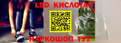 прущие грибы Можга