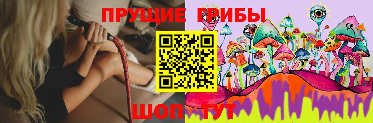 Псилоцибиновые грибы Cubensis Югорск